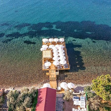 Assosa Hotel Ayvacik Exteriör bild